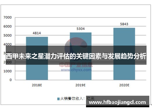 西甲未来之星潜力评估的关键因素与发展趋势分析 西甲未来之星潜力评估的关键因素与发展趋势分析